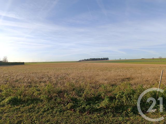 terrain à vendre - 637.0 m2 - MARSON - 51 - CHAMPAGNE-ARDENNE - Century 21 Martinot Immobilier