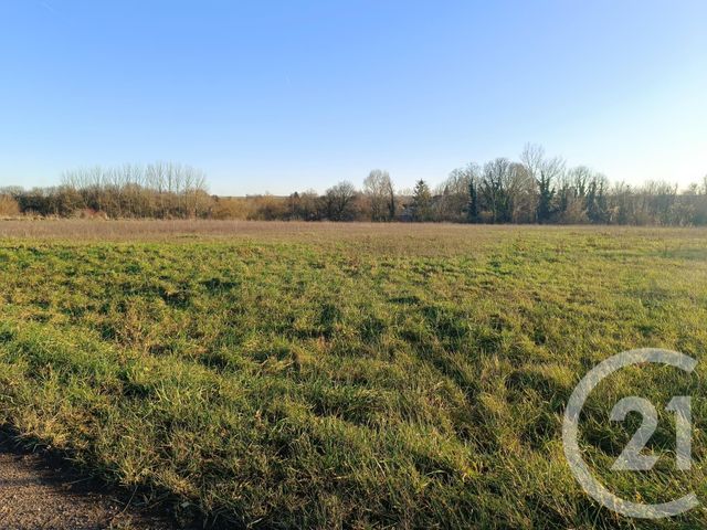 terrain à vendre - 6400.0 m2 - VATRY - 51 - CHAMPAGNE-ARDENNE - Century 21 Martinot Immobilier